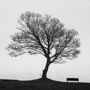 SILENT WITNESS -UK -2023