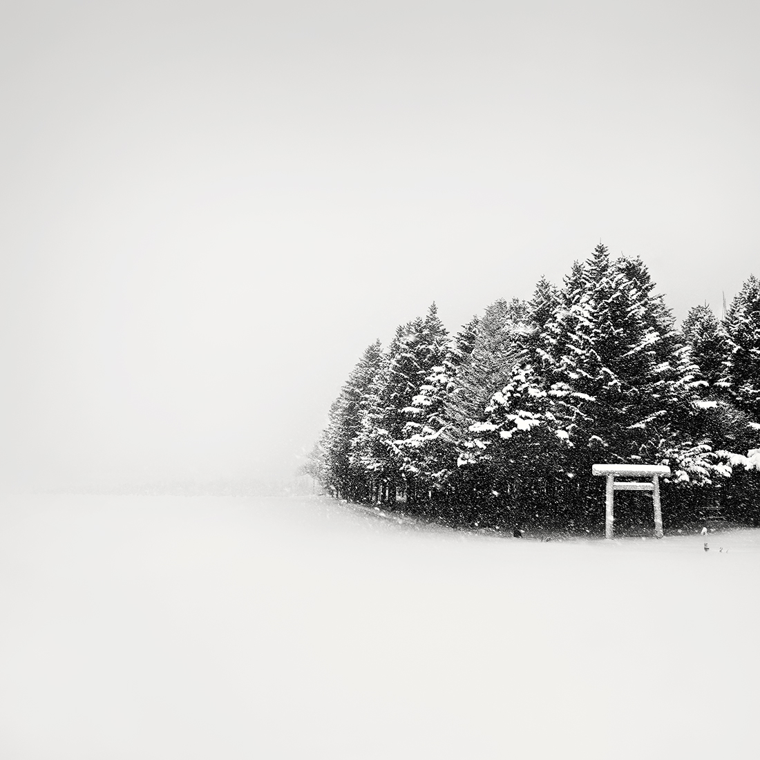 SNOW TREE NO.51 -ABASHIRI -HOKKAIDO -2018