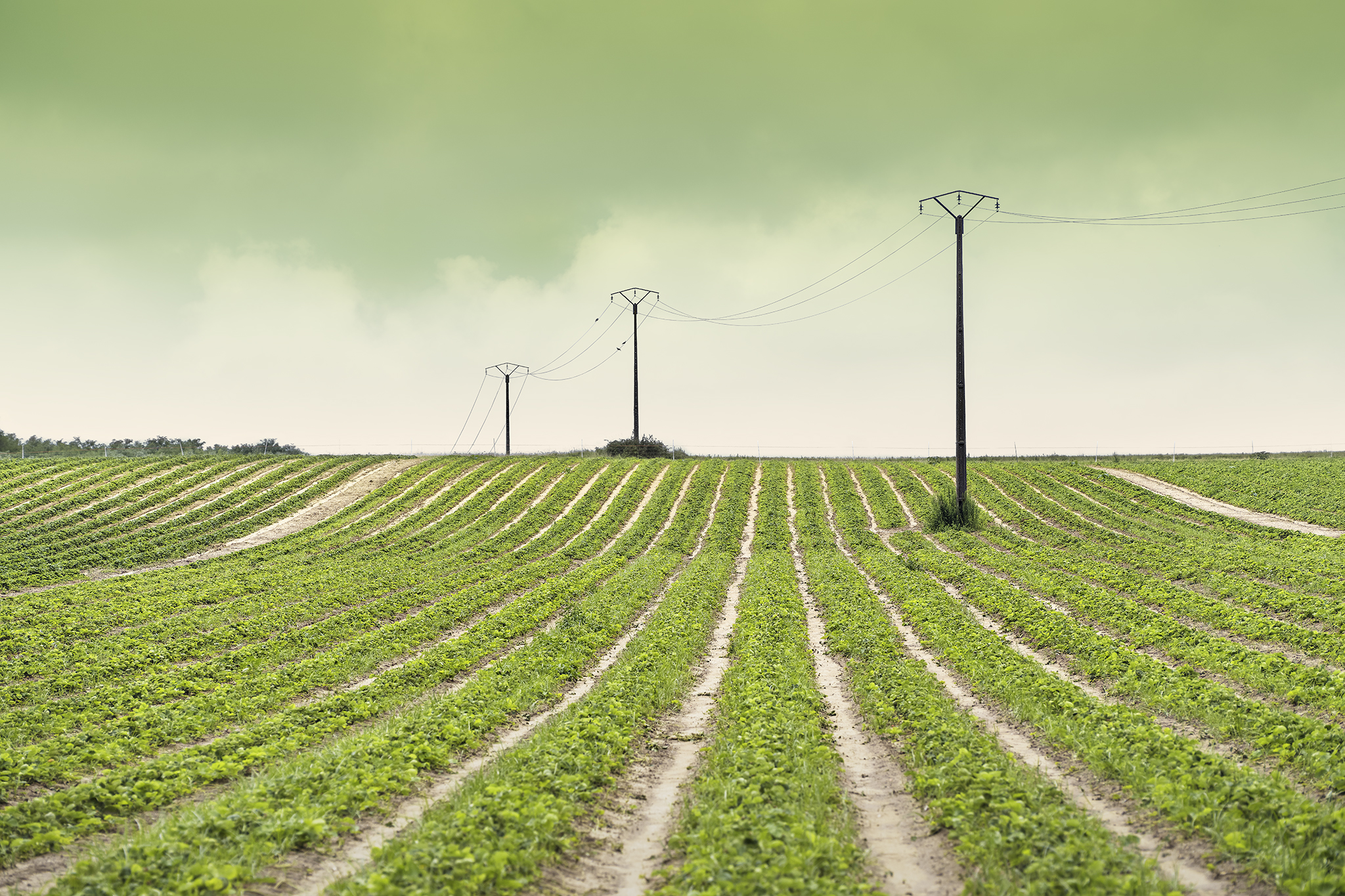 ORDER AND CONNECTION -FRANCE -2025