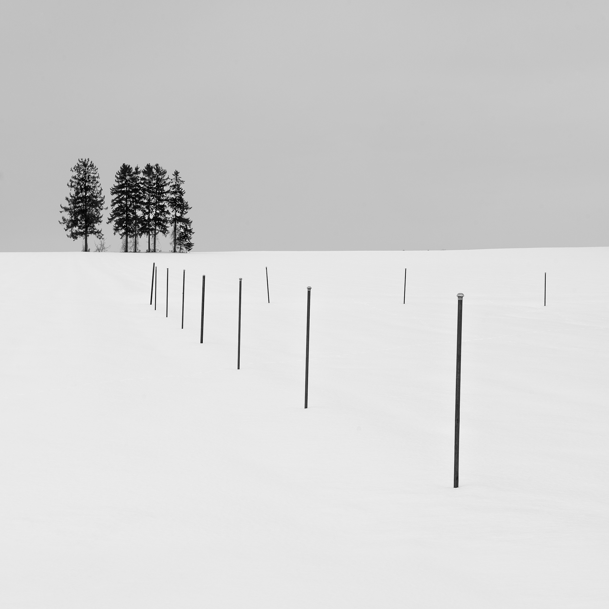 A CONVERSATION WITH SNOW -HOKKAIDO -2024