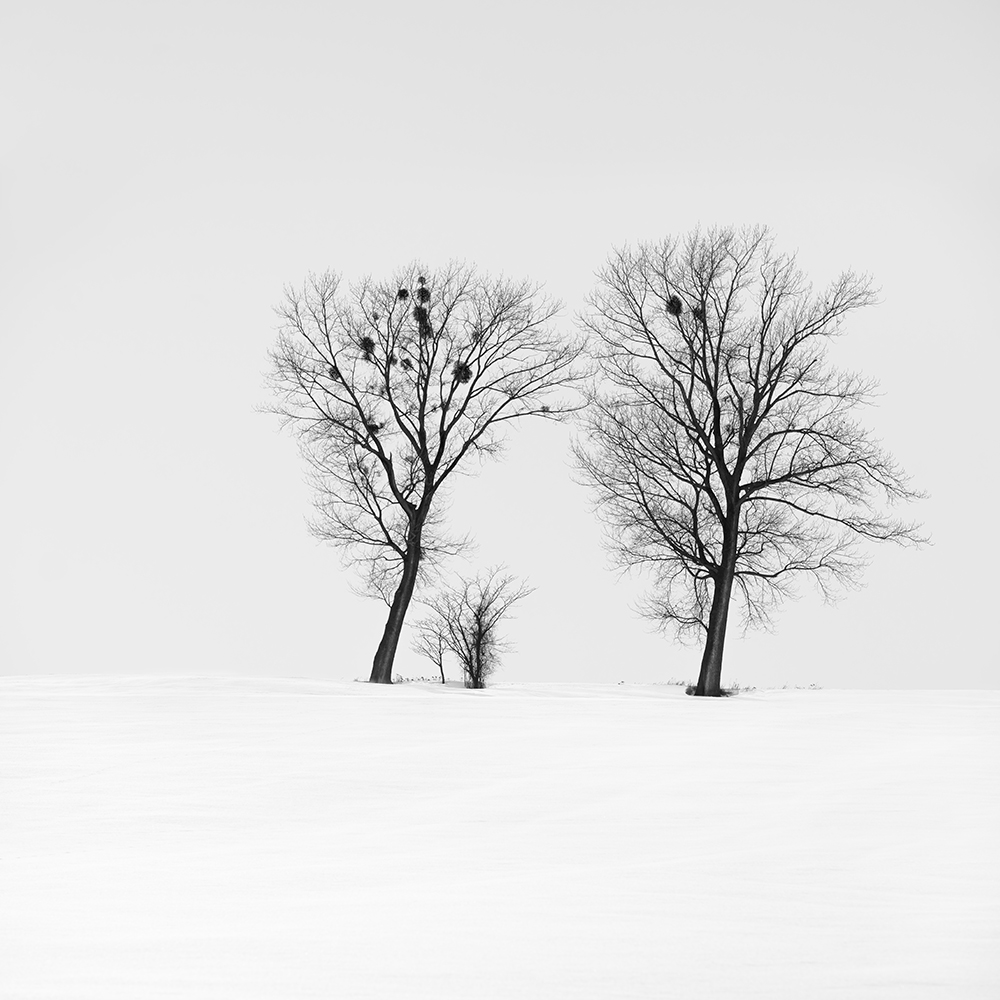 FAMILY -HOKKAIDO -2024