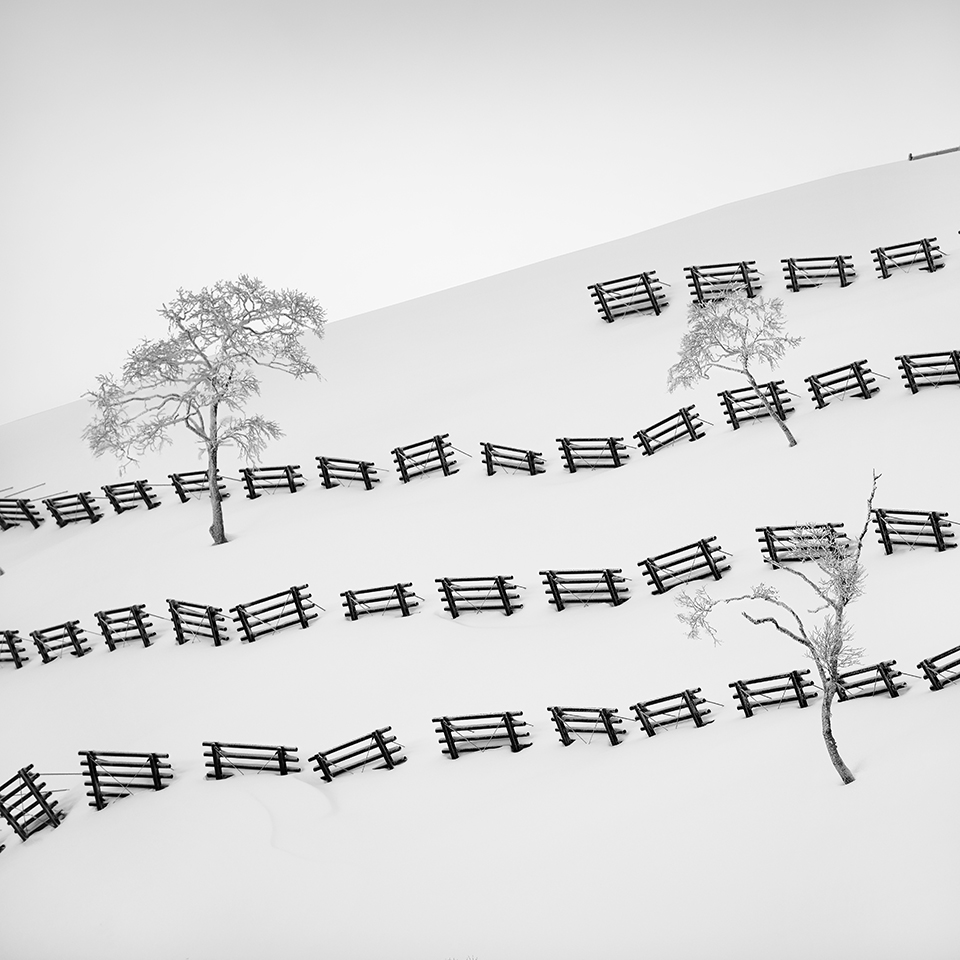 SNOW FENCE NO.2 -HOKKAIDO -2017