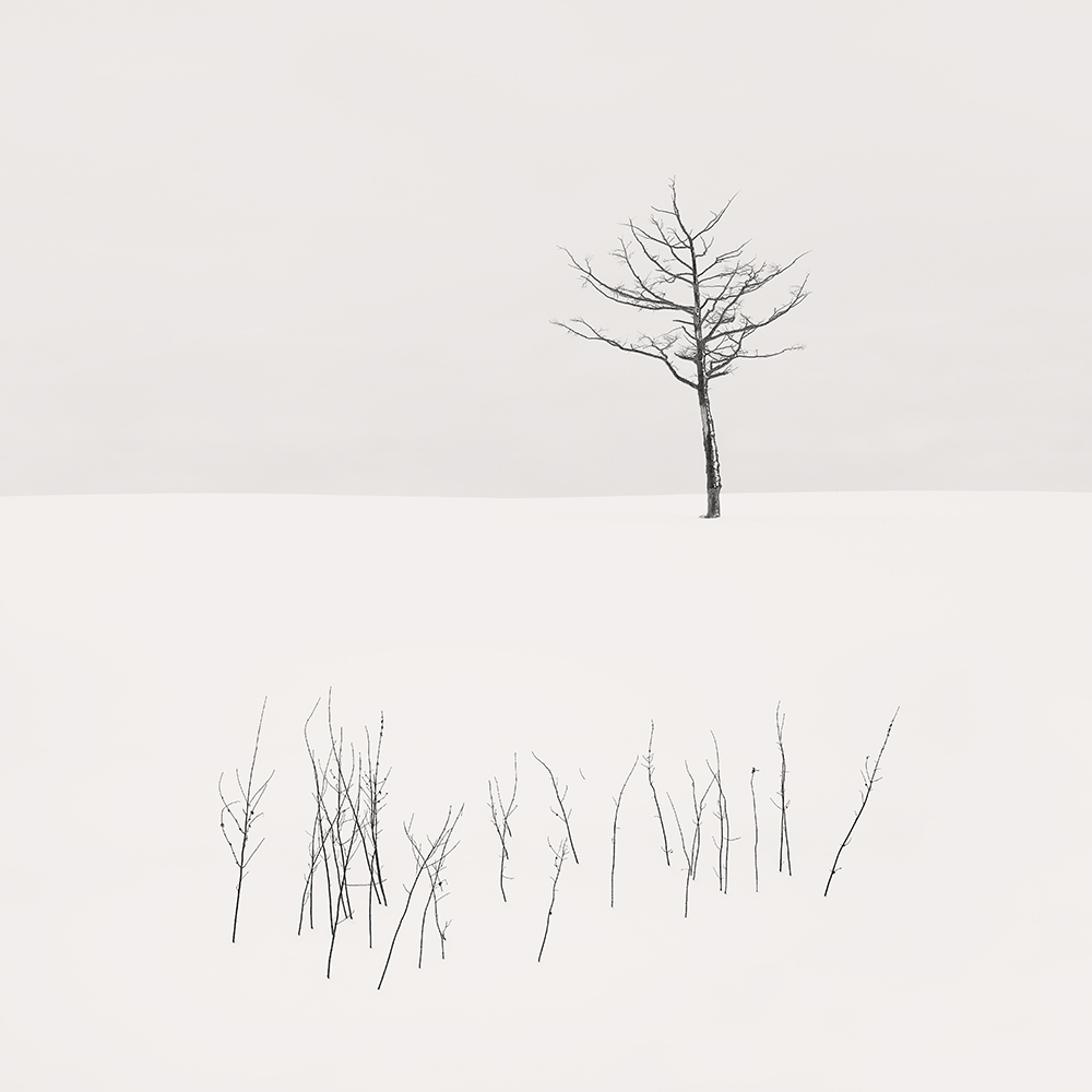 SNOW TREE NO.59 -HOKKAIDO -2018