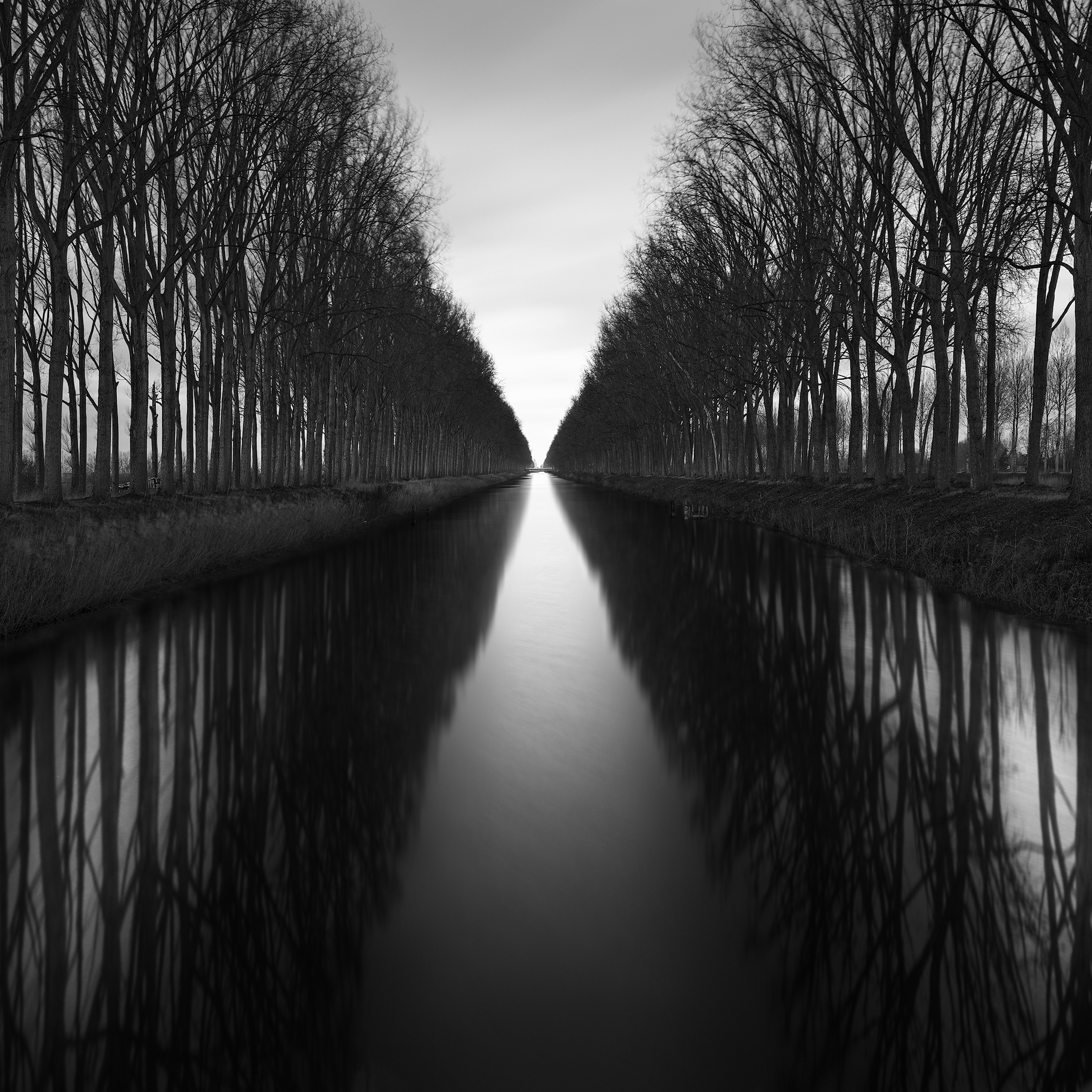 ABYSS -BELGIUM -2025