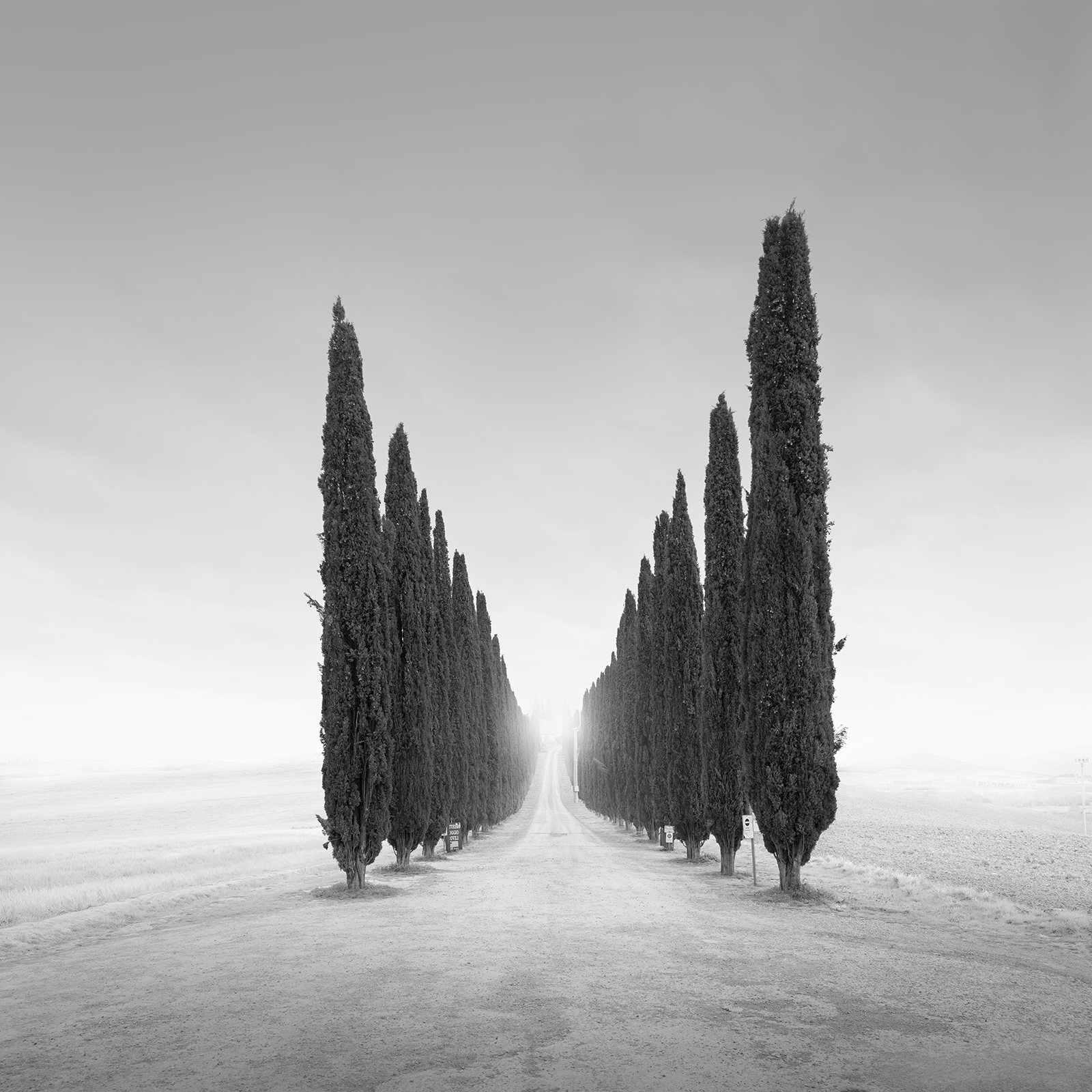 ETERNAL LINE -ITALY -2025