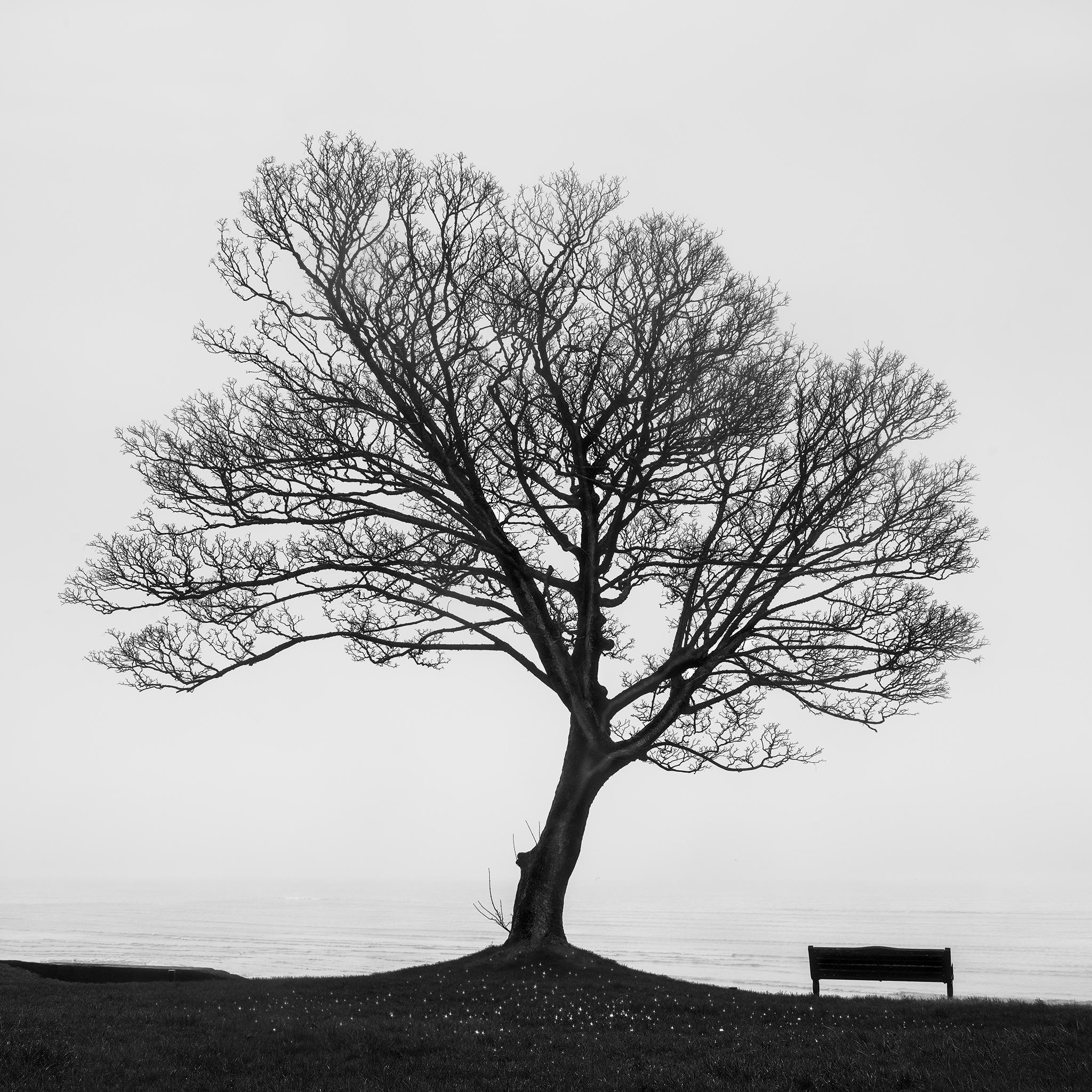 SILENT WITNESS -UK -2023