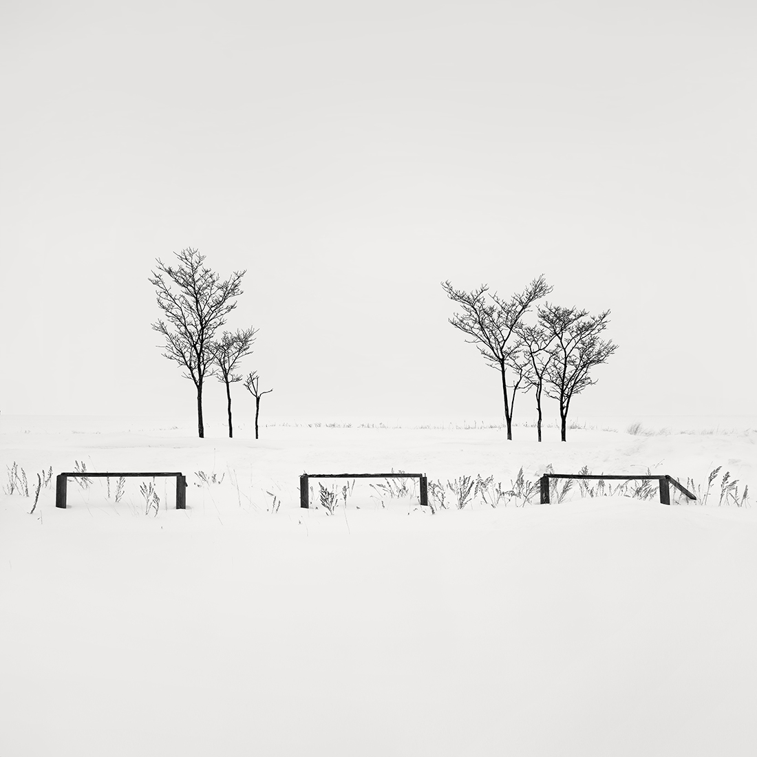 SNOW TREES NO.55 -ABASHIRI -HOKKAIDO -2018