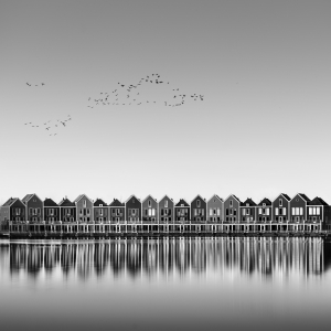 115 BIRDS -NETHERLANDS -2025