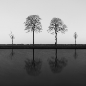 ONE ROOT ONE FAMILY -NETHERLANDS -2025