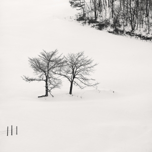 SNOW TREE NO.64 -HOKKAIDO -2018