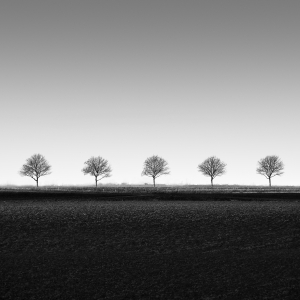 VOIDLINE OF FIVE -NETHERLANDS -2025