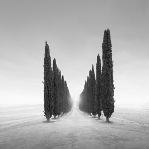 ETERNAL LINE -ITALY -2025