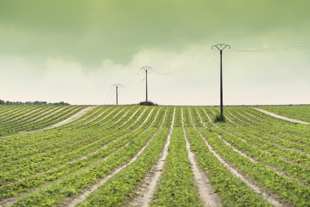 ORDER AND CONNECTION -FRANCE -2025